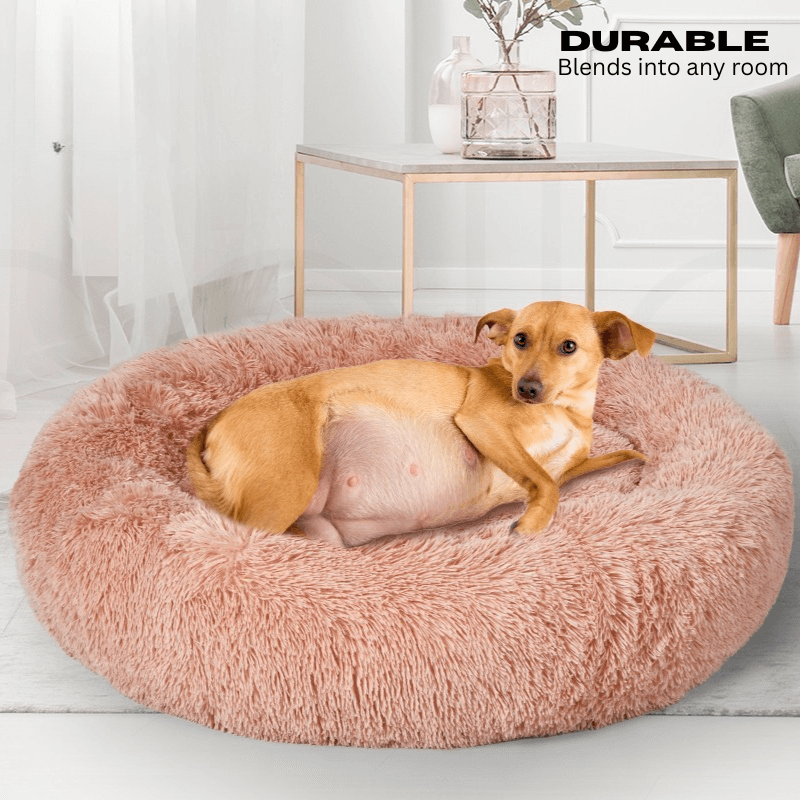 FurryFriends™ Calming Pod